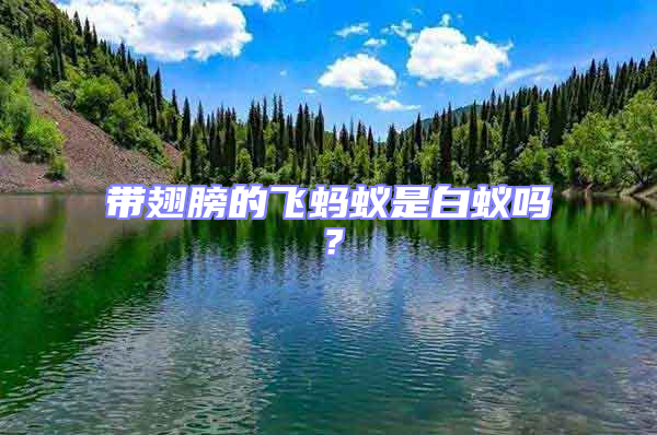 帶翅膀的飛螞蟻是白蟻嗎？