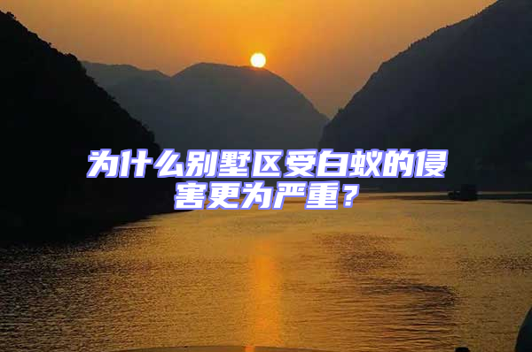 為什么別墅區受白蟻的侵害更為嚴重？