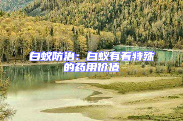 白蟻防治：白蟻有著特殊的藥用價值