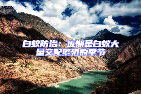 白蟻防治：近期是白蟻大量交配繁殖的季節