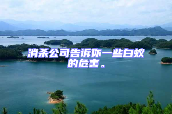 消殺公司告訴你一些白蟻的危害。