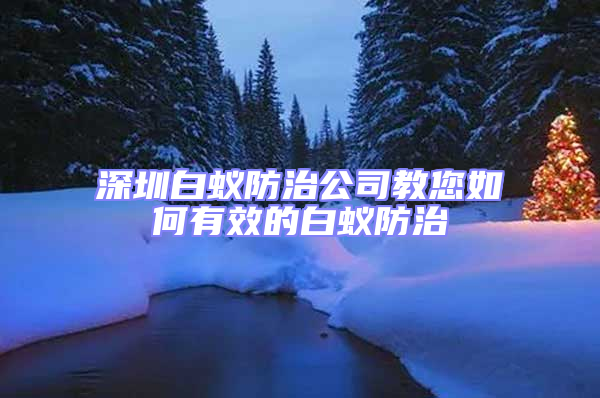 深圳白蟻防治公司教您如何有效的白蟻防治