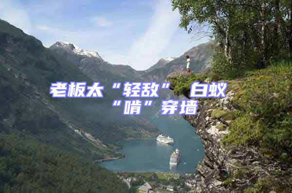 老板太“輕敵” 白蟻“啃”穿墻
