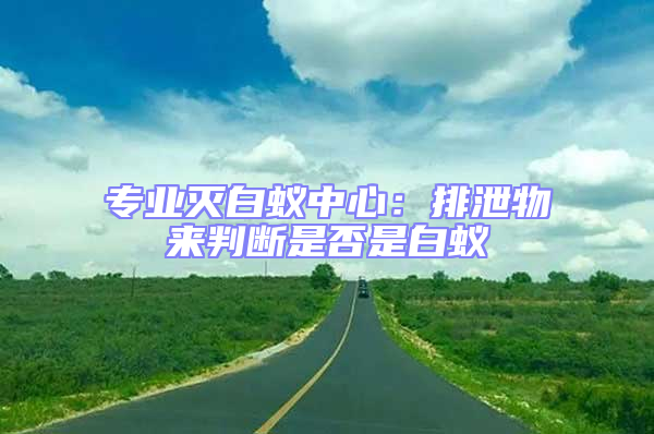專業滅白蟻中心：排泄物來判斷是否是白蟻
