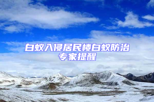 白蟻入侵居民樓白蟻防治專家提醒