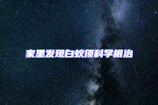 家里發現白蟻須科學根治
