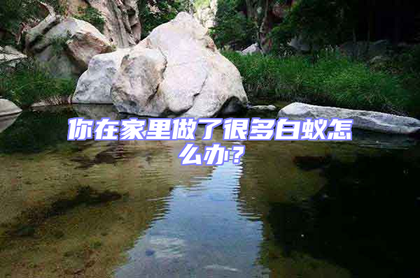 你在家里做了很多白蟻怎么辦？