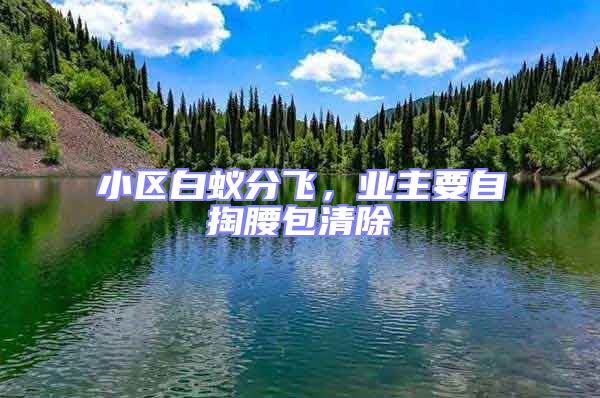 小區白蟻分飛，業主要自掏腰包清除