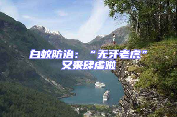 白蟻防治：“無(wú)牙老虎”又來(lái)肆虐啦