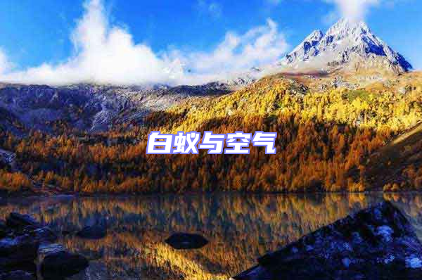 白蟻與空氣