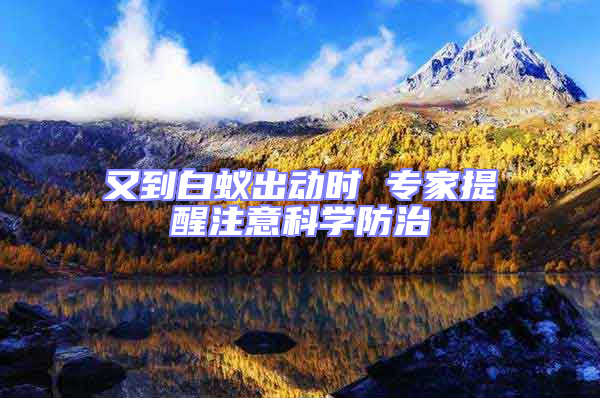 又到白蟻出動時 專家提醒注意科學防治