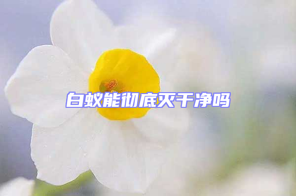 白蟻能徹底滅干凈嗎