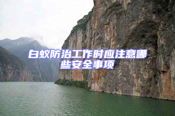 白蟻防治工作時(shí)應(yīng)注意哪些安全事項(xiàng)