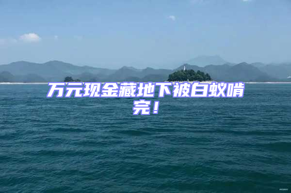 萬(wàn)元現(xiàn)金藏地下被白蟻啃完！
