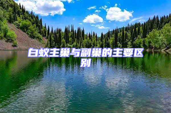 白蟻主巢與副巢的主要區別