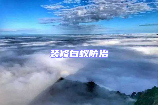裝修白蟻防治