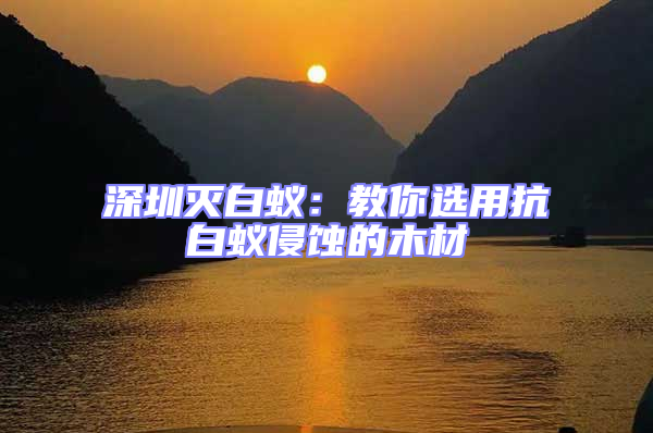 深圳滅白蟻：教你選用抗白蟻侵蝕的木材