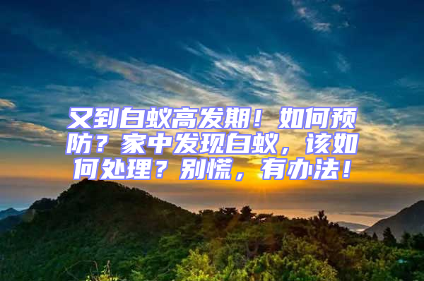 又到白蟻高發(fā)期！如何預防？家中發(fā)現(xiàn)白蟻，該如何處理？別慌，有辦法！